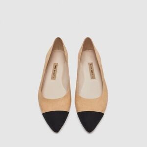 Zara Women's Black and Tan Captoe Pointy Toe Flats Shoes 6 36